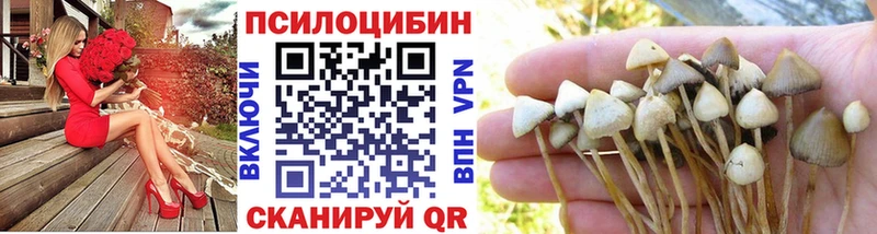 Галлюциногенные грибы Psilocybe  Белоозёрский 
